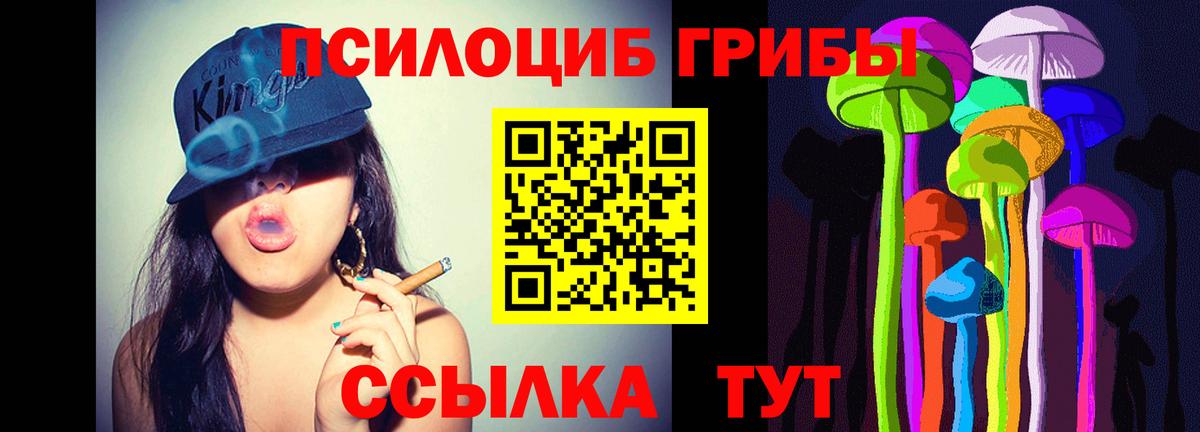 Галлюциногенные грибы Psilocybe Туймазы